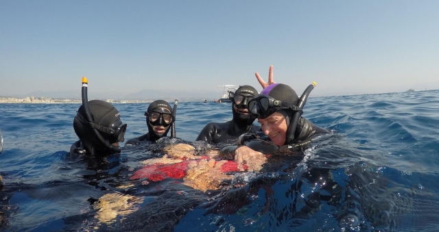 Descansa con amigos mientras practicas snorkel. 