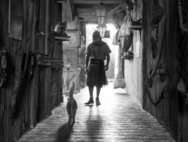  Una temática interesanle 