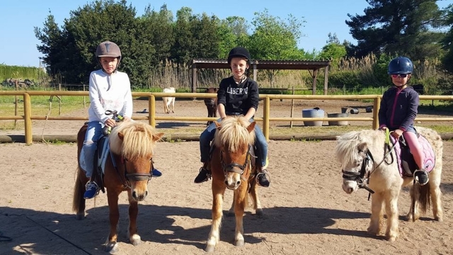  ¡Nuestros ponis!