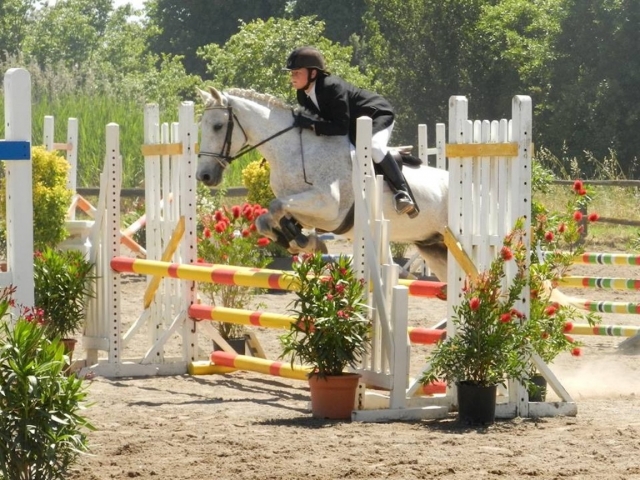  ¡Un precioso caballo blanco! 
