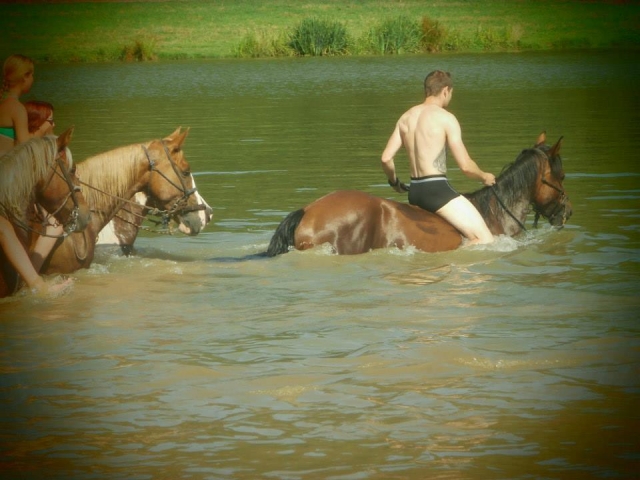  Pbaños a caballo en el agua 