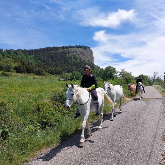  Pbaños a caballo en el campo 