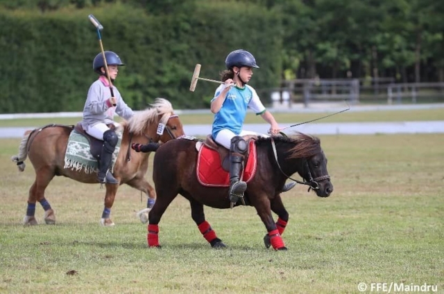  ¡Actividad de ponis! 