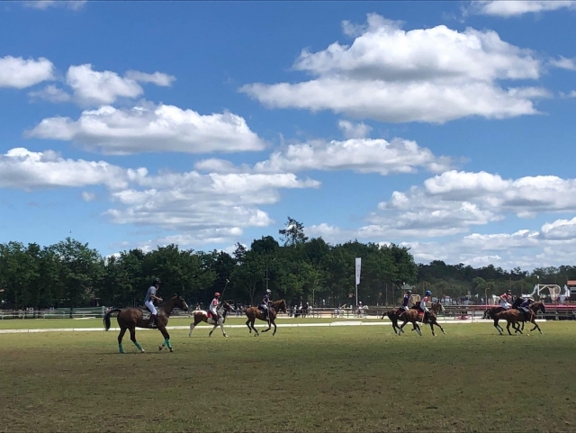  Nuestros caballos en el centro ecuestre 