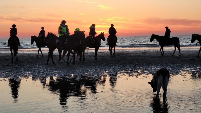  Paseo al atardecer. 