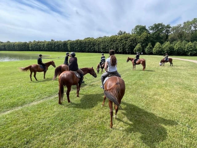  ¡Nuestros caballos! 