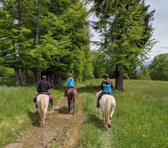  Paseo a caballo para tres en Saboya 