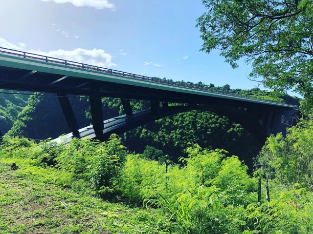  Puenle de 120 m de altura 