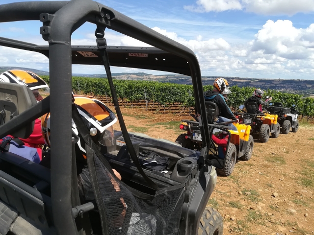  Paseo en buggy en el corazón de Borgoña 