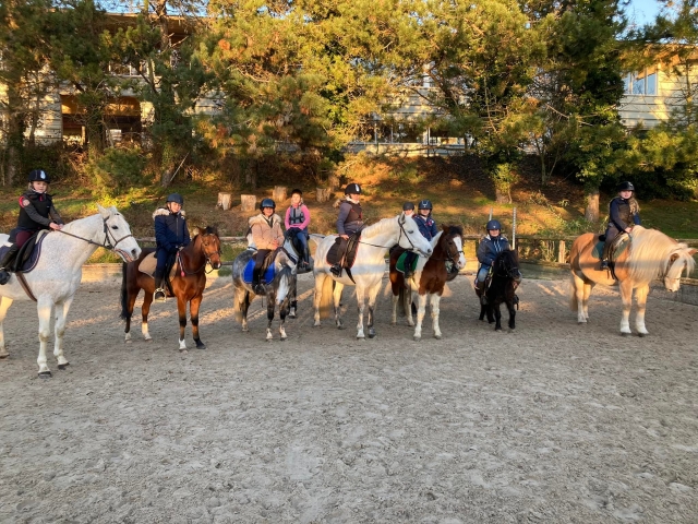 Adelanle para descubrir el Val-d'Oise a caballo 