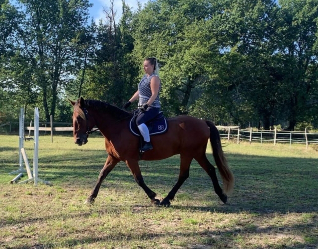 Instructores ahí para usted 