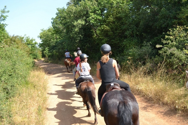  Descubrimiento de la región a caballo 