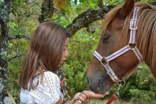  Amistad con nuestros caballos 
