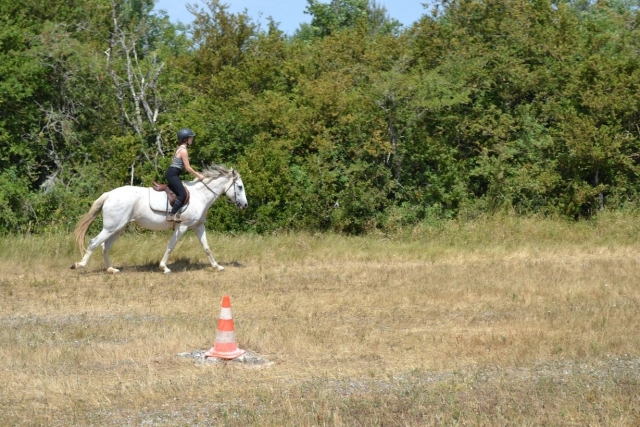  Clases de equitación en La Bastide-Pradines 