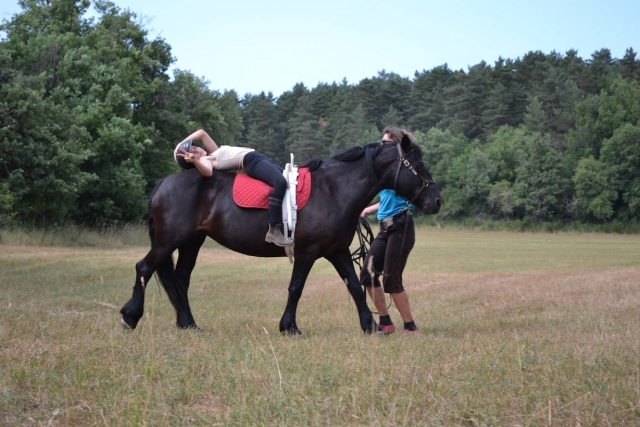  Relajación a caballo 