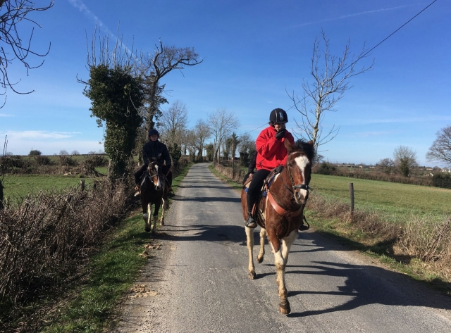  Relajación y entretenimiento a caballo 