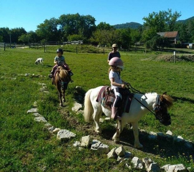  Tiempo emocionanle en pony para niños 