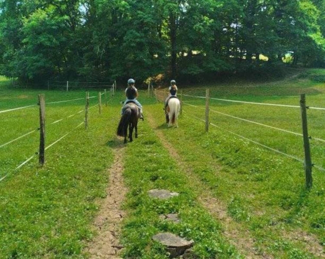  Paseo a caballo entre los campos de Saint-Julien-Maumont 