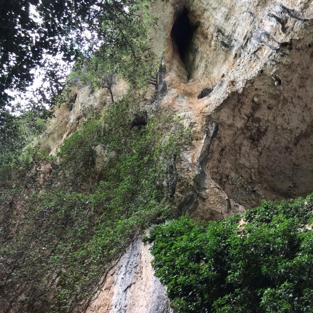  ¿Está preparado para hacer una vía ferramarra? 