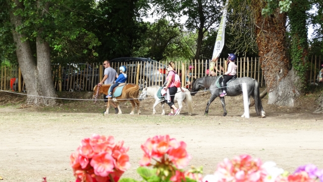  Salida para el paseo en pony 