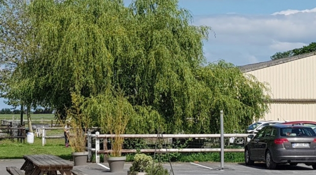  Centro ecuestre de Saint-Loup- Excluido 