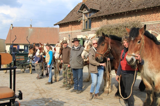  Listo para el paseo a caballo 