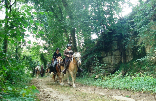  En el bosque a caballo 