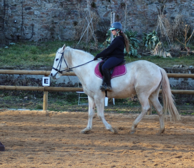  Paseo a caballo 