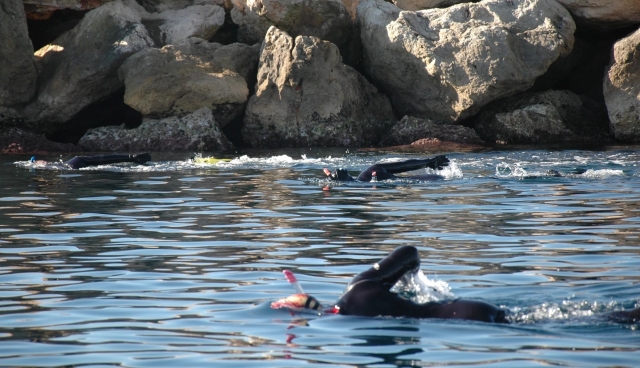  Snorkel en la costa de Marsella 