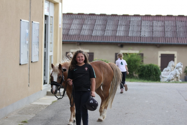  Paseo en pony para niños 