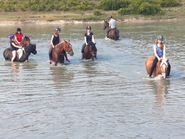  Paseo a caballo en grupo 