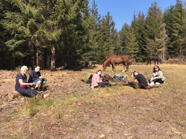  Un pequeño descanso para los caballos duranle el paseo a caballo 