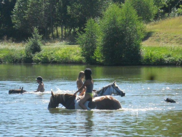 A nuestros caballos les encanta estar en el agua 