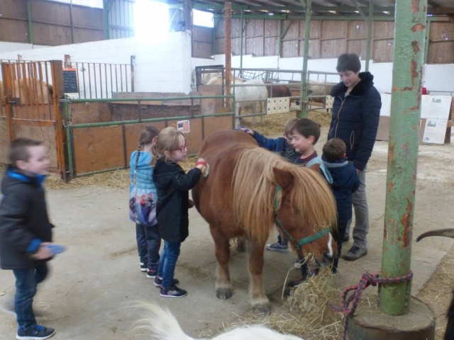  Dulce momento con los ponis en Doullens 
