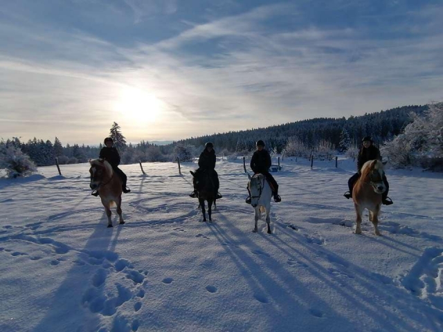  Paseo a caballo al atardecer 