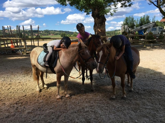  Amor incondicional entre los niños y nuestros ponis 