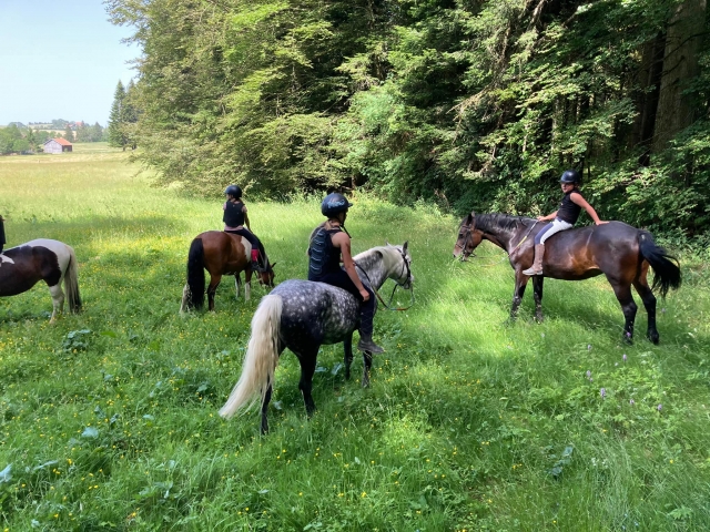 Pbaños a caballo por el campo 