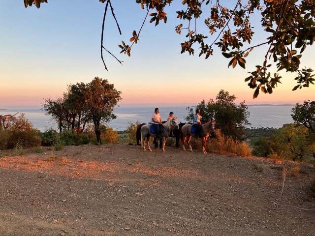  Paseo a caballo al atardecer 