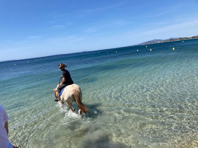  Una playa paradisíaca recorrida a caballo 