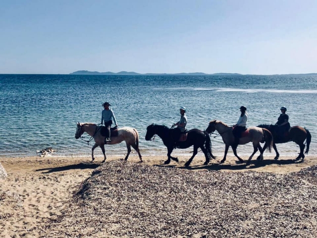  Pbaños a caballo por las playas de Hyères 