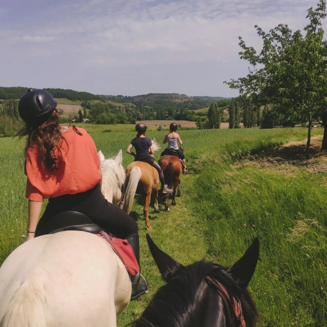  Pbaños a caballo en grupo 
