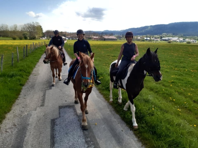  Vamos a dar un hermoso paseo a caballo 