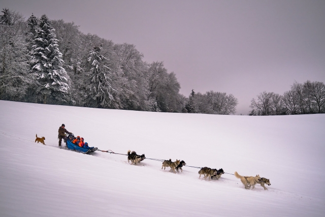  Velocidad y nueva sensaciones en el mushing 