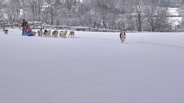  Descubrimiento del mushing en el 63 