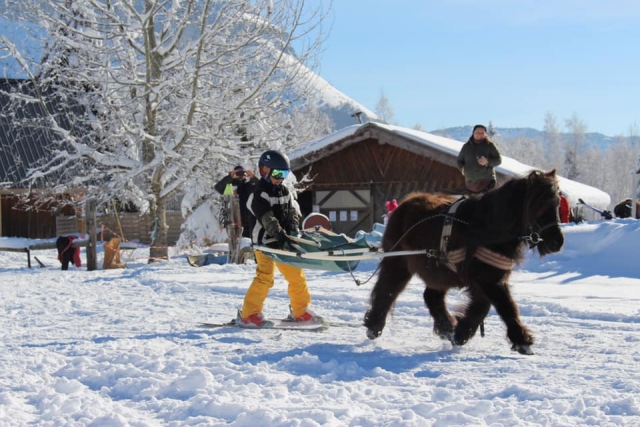  Esquí Joëring con un pony para niños 