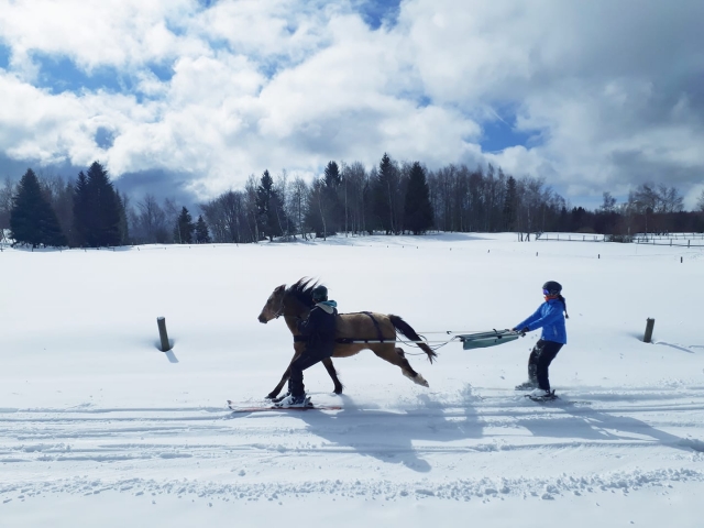  Sensacional Ski Joëring 