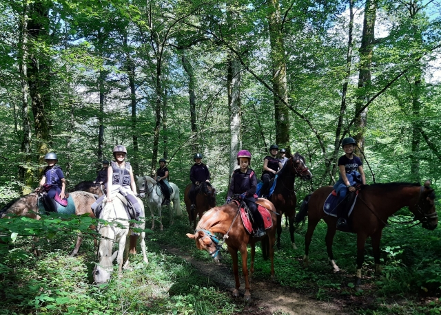  En los bosques del Doubs 