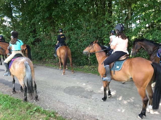  Listos para el paseo a caballo 
