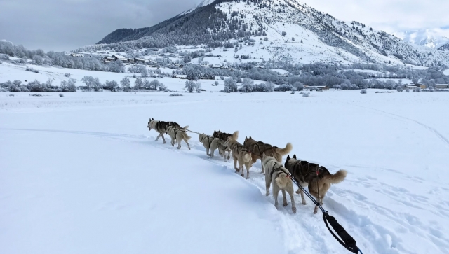  Paseo en trineo por los Alpes del Sur 