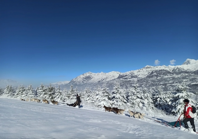  Captura de pantalla 2022-11-02 a las 10 